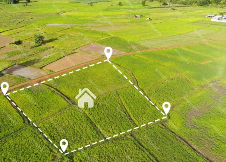 Dev Satış Dalgası Başladı! 10 Bin TL Teminatla Arazi Sahibi Olun!