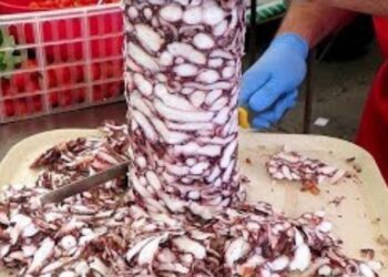 Klasik döner tarih oluyor! Almanya’da etsiz tavuksuz yepyeni bir versiyon ortaya çıktı