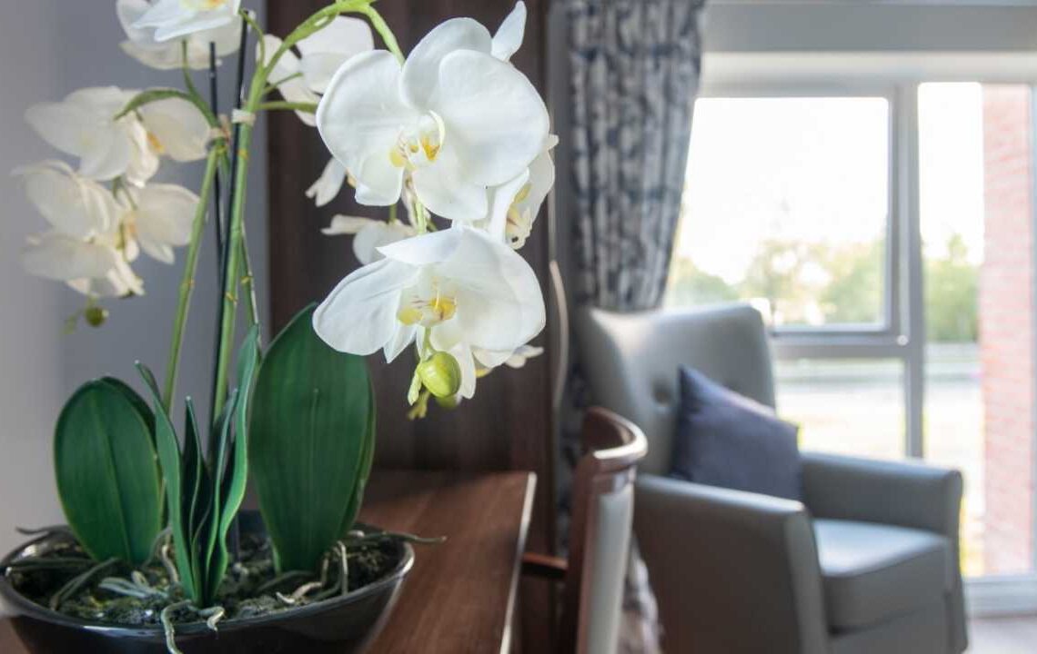 Bir tutamı ile solan çiçekler birkaç günde capcanlı oluyor!