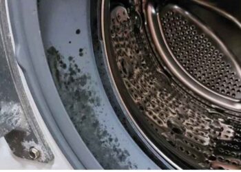 Çamaşır makinesindeki küfü anında söküp atan yöntem açıklandı!