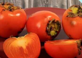 Evde cennet hurması olgunlaştırmanın en etkili 3 doğal yöntemi