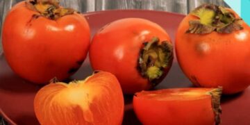 Evde cennet hurması olgunlaştırmanın en etkili 3 doğal yöntemi