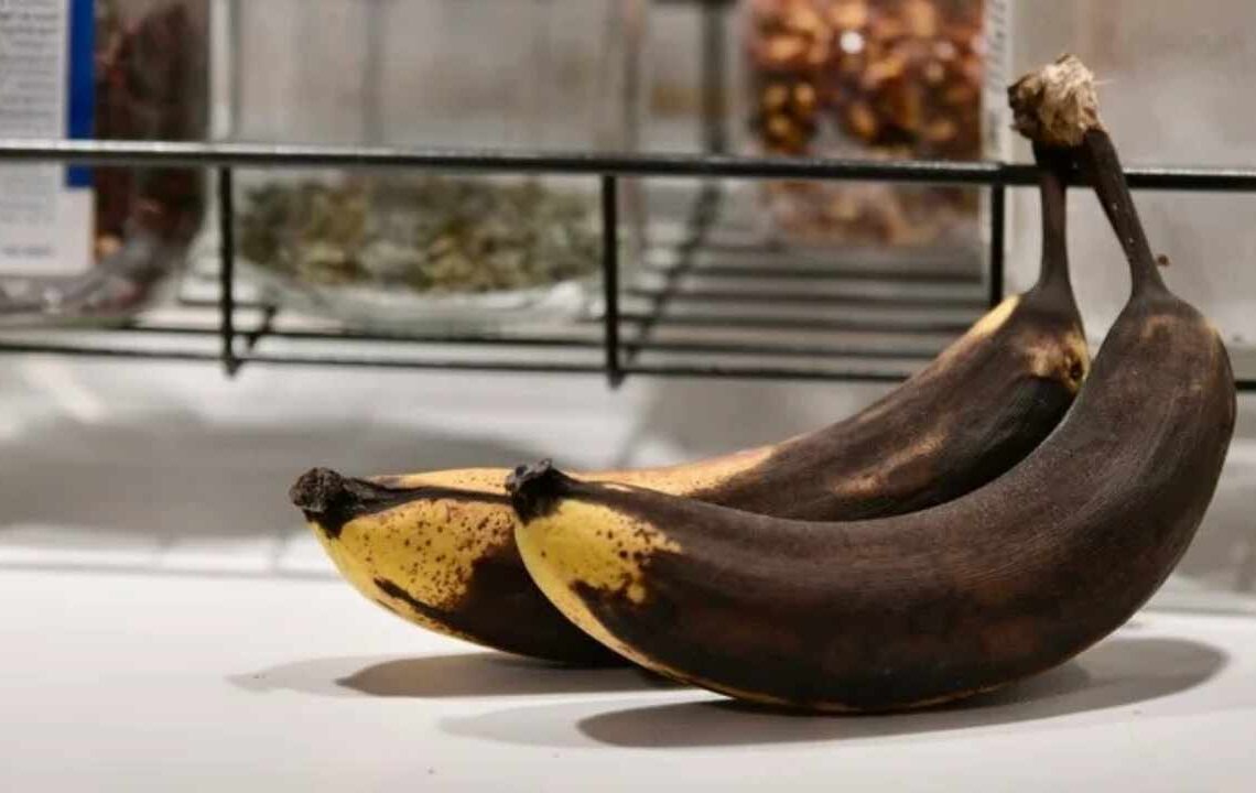 Muzun Kararmasını Durduran Gizli Tüyo Açıklandı!