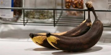 Muzun Kararmasını Durduran Gizli Tüyo Açıklandı!