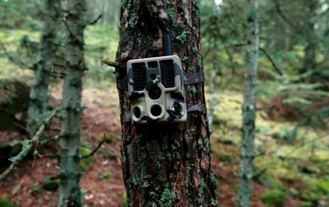 Türkiye’de keşfedildi! Bilim dünyası ayakta