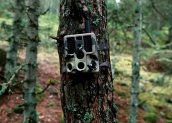 Türkiye’de keşfedildi! Bilim dünyası ayakta