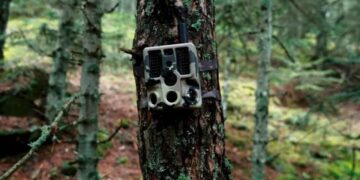 Türkiye’de keşfedildi! Bilim dünyası ayakta