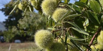 Devletten yeni proje! Üreticilere yüzde 75 destek verilecek