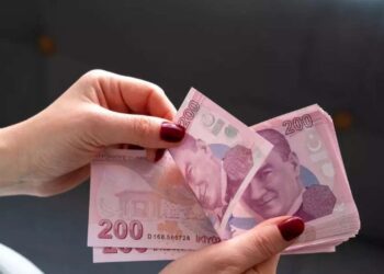 Vatandaşlık geliri başlıyor! Yeni program için gün verildi