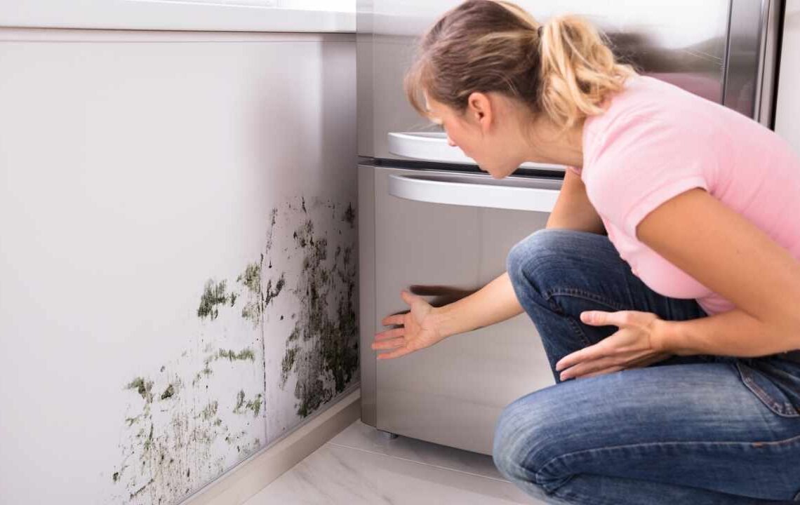 Evde Küf Derdine Son: Çamaşır Suyunu Unutturacak Kalıcı Çözüm!