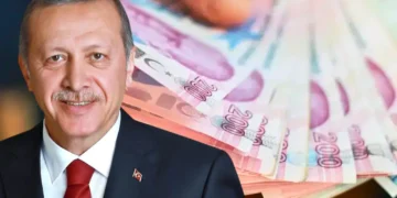 1999–2009 Arası Sigortalılara Büyük Uyarı: Bu Üç Hata Emeklilik Yaşınızı Etkileyebilir